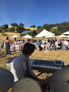 David-Michel-at-a-Wedding-2  